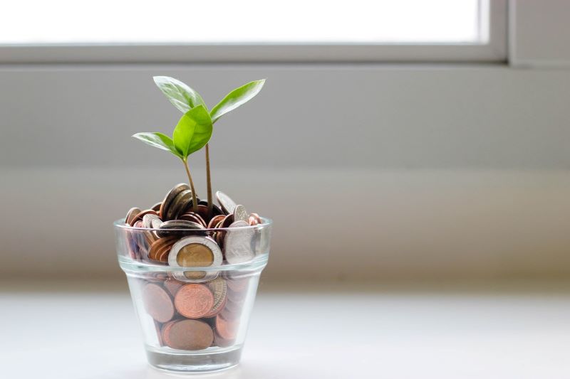 soilformoney